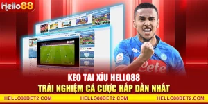 Thể thao Hello88 - Kênh cá cược uy tín dành cho mọi người - ZIBET