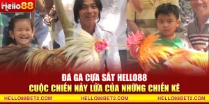 Đá gà Hello88 - Giải trí đỉnh cao với tỷ lệ thưởng hấp dẫn - ZIBET