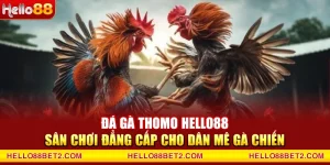 Đá gà Hello88 - Giải trí đỉnh cao với tỷ lệ thưởng hấp dẫn - ZIBET