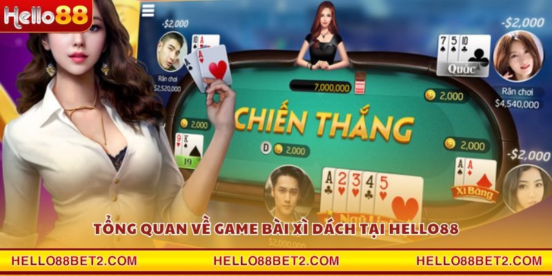 Cách chơi Xì Dách Hello88 - Hướng dẫn chi tiết cho người mới - ZIBET