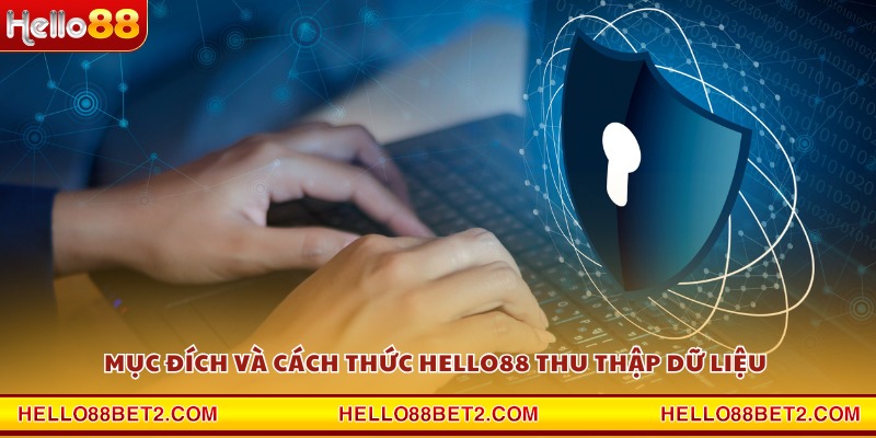 Chính sách bảo mật Hello88 - Tiêu chuẩn an toàn hàng đầu - ZIBET