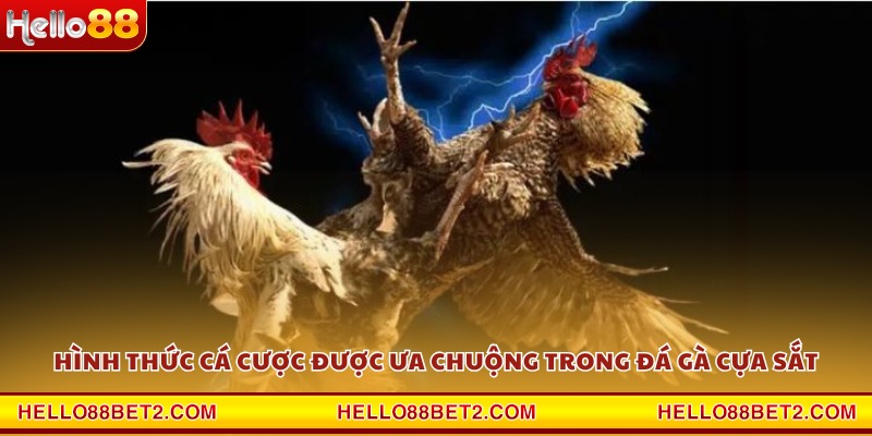 Đá gà cựa sắt Hello88 - Cuộc chiến nảy lửa của những chiến kê - ZIBET