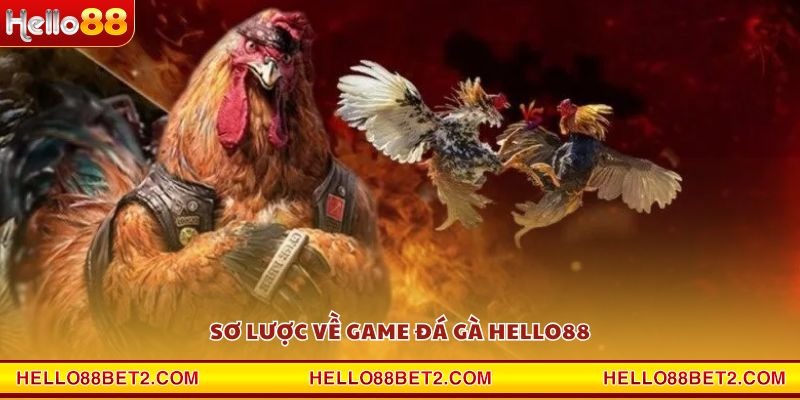 Đá gà Hello88 - Giải trí đỉnh cao với tỷ lệ thưởng hấp dẫn - ZIBET