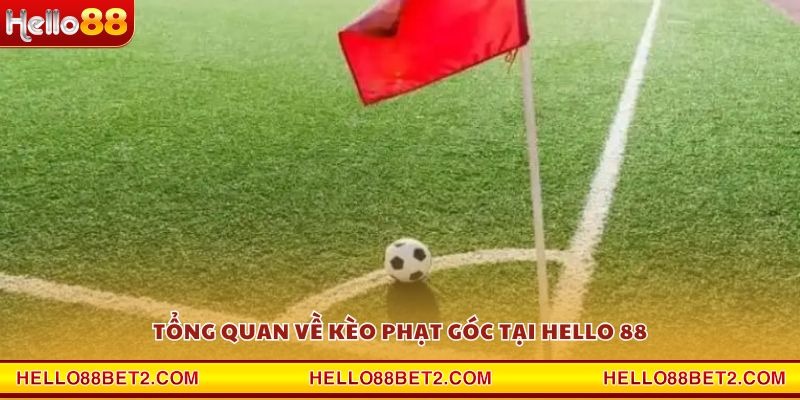 Kèo phạt góc Hello88 - Cơ hội thắng lớn với chiến thuật hợp lý - Hello88 - ZIBET