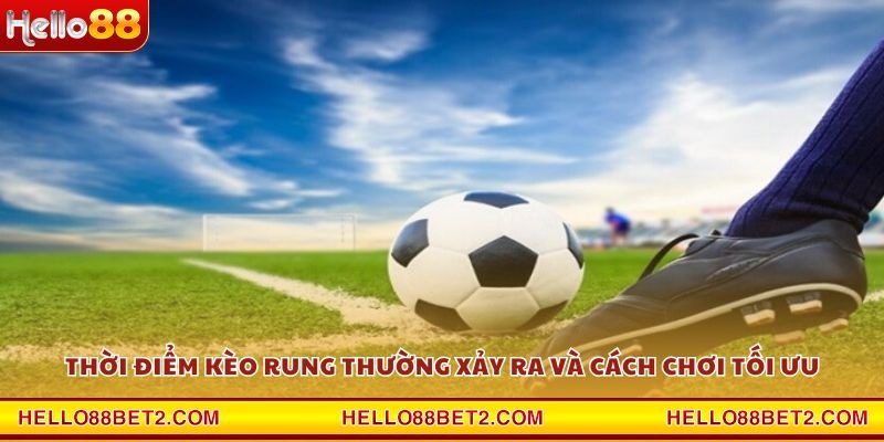 Kèo rung là gì? Tất tần tật kiến thức cược bóng nên biết - ZIBET