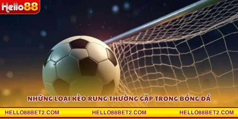 Kèo rung là gì? Tất tần tật kiến thức cược bóng nên biết - ZIBET