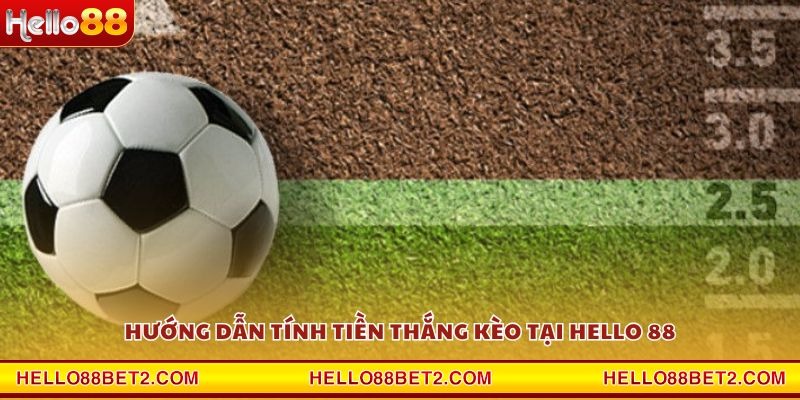 Kèo tài xỉu Hello88 - Trải nghiệm cá cược hấp dẫn nhất - ZIBET