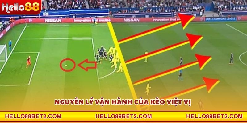 Kèo việt vị Hello88 – Cơ hội bứt phá trong cá cược - ZIBET
