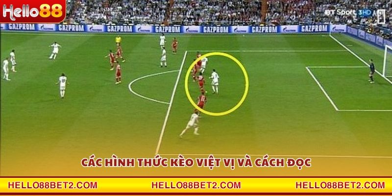 Kèo việt vị Hello88 – Cơ hội bứt phá trong cá cược - ZIBET