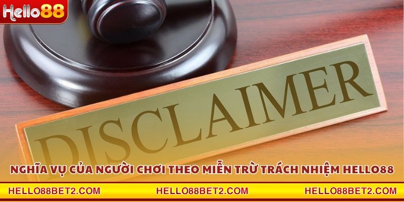 Miễn trừ trách nhiệm Hello88 – Quy định pháp lý cần nắm rõ - ZIBET