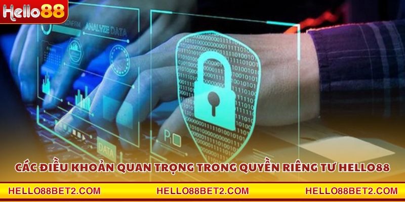 Quyền riêng tư Hello88 - Chính sách rõ ràng và minh bạch - ZIBET