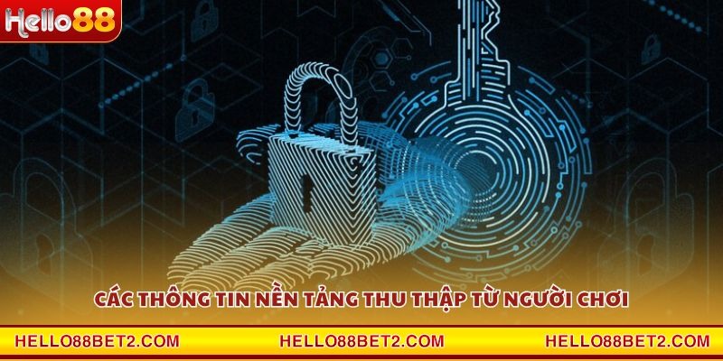 Quyền riêng tư Hello88 - Chính sách rõ ràng và minh bạch - ZIBET