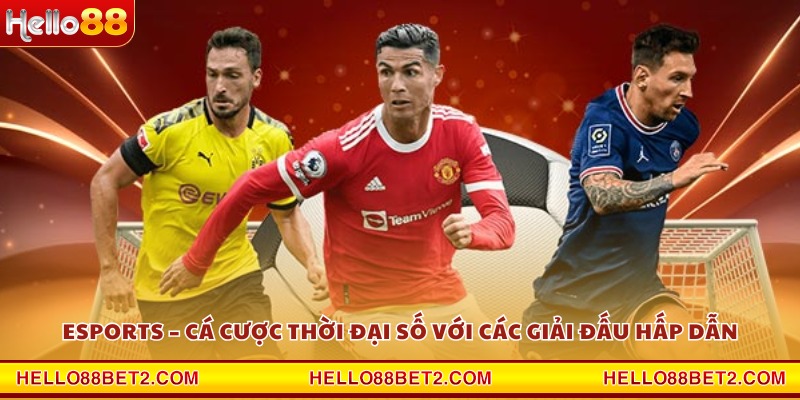 Thể thao Hello88 - Kênh cá cược uy tín dành cho mọi người - ZIBET
